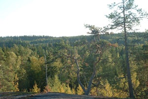 kalliolla